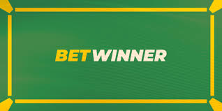 Everything You Need to Know About BetWinner Betting Platform